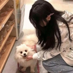 权力与荣耀qq版本下载