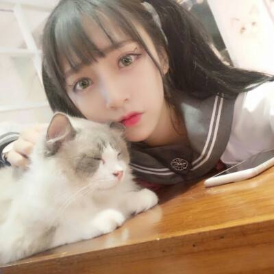 別惹萌萌哒手游